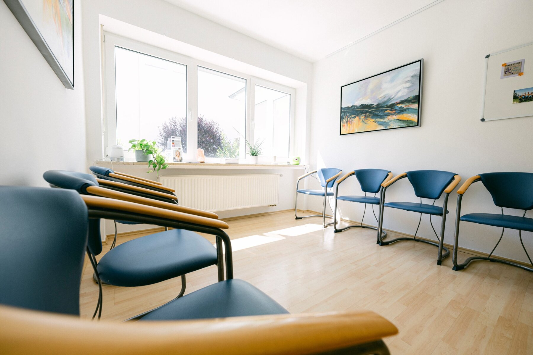 Das Wartezimmer der Praxis ist zu sehen, in dem mehrere blaue Stühle stehen. Durch das Fenster kann man einen Baum im Freien sehen.